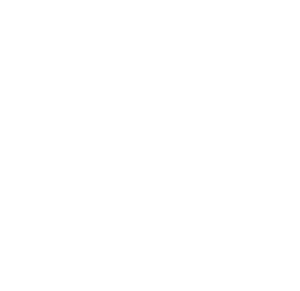 Concentric circles, circular scale, black background.